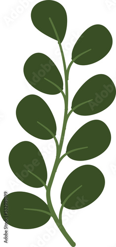 Illustration of plant