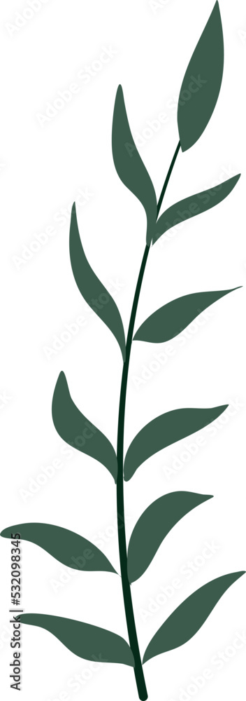 Fototapeta premium Illustration of plant