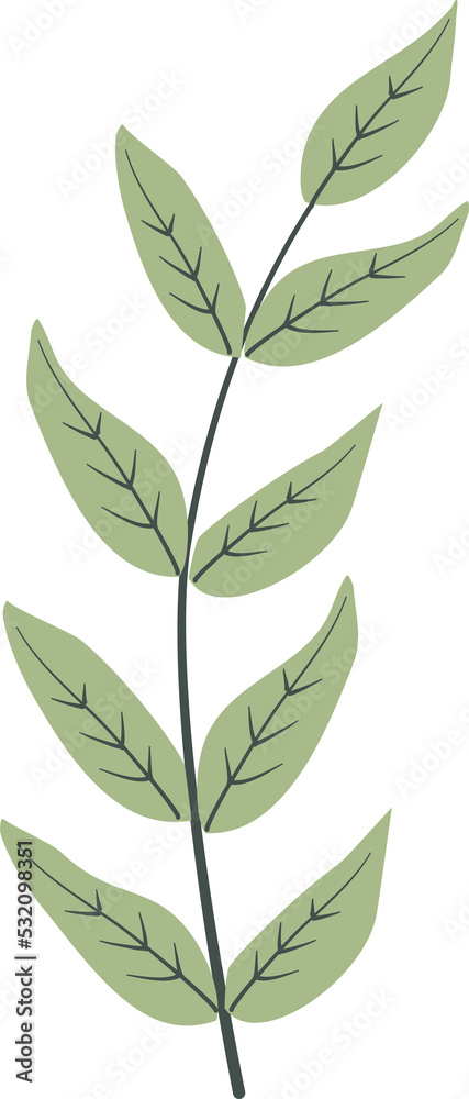 Illustration of plant Illustration of plant