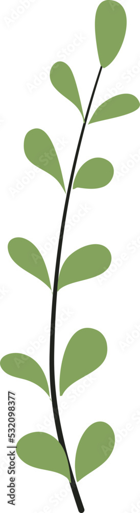 Illustration of plant Illustration of plant