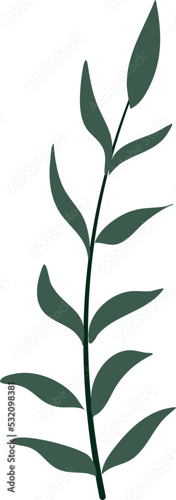 Illustration of plant Illustration of plant