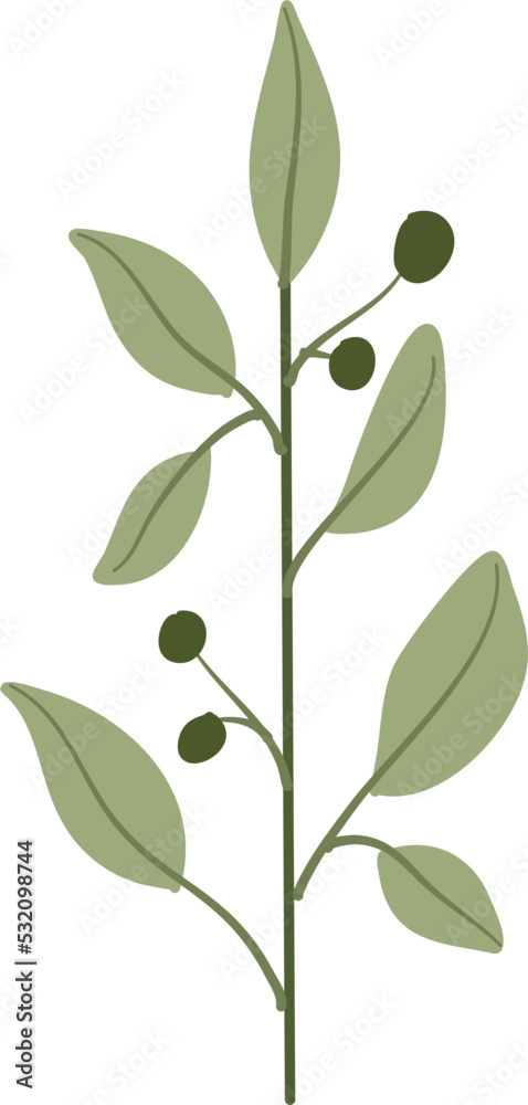 Illustration of plant Illustration of plant