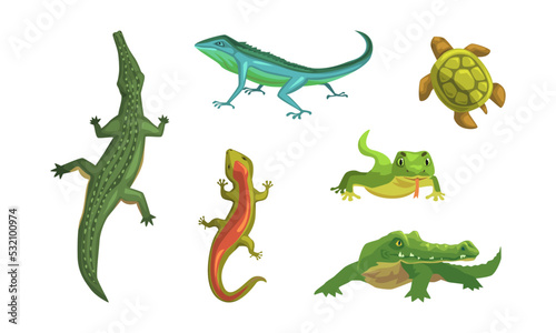 Set of amphibians. Turtle  varan  crocodile  lizard crawling animals cartoon vector illustration