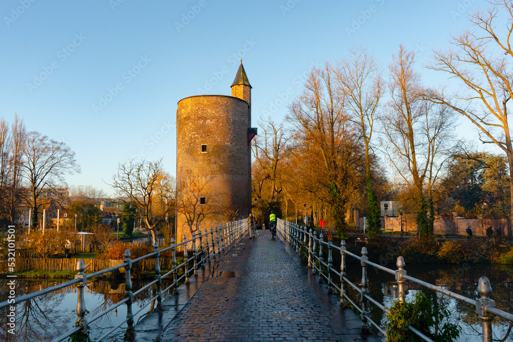 Fototapeta premium Minnewater lake , Minnewaterbrug . Beautiful lake and garden in old town of Brugge during autumn , winter : Brugge , Belgium : November 30 , 2019