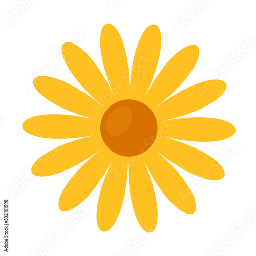 yellow daisy flowers flat vector illustration clipart isolated on white background