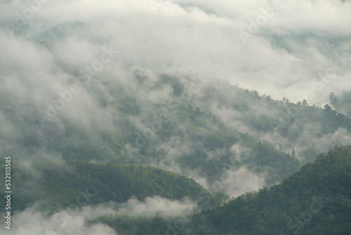 The mist on green mountain at the morning. Early morning in Thailand mountains.