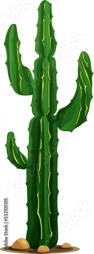 Elephant cactus, Mexican giant cardon isolated photo