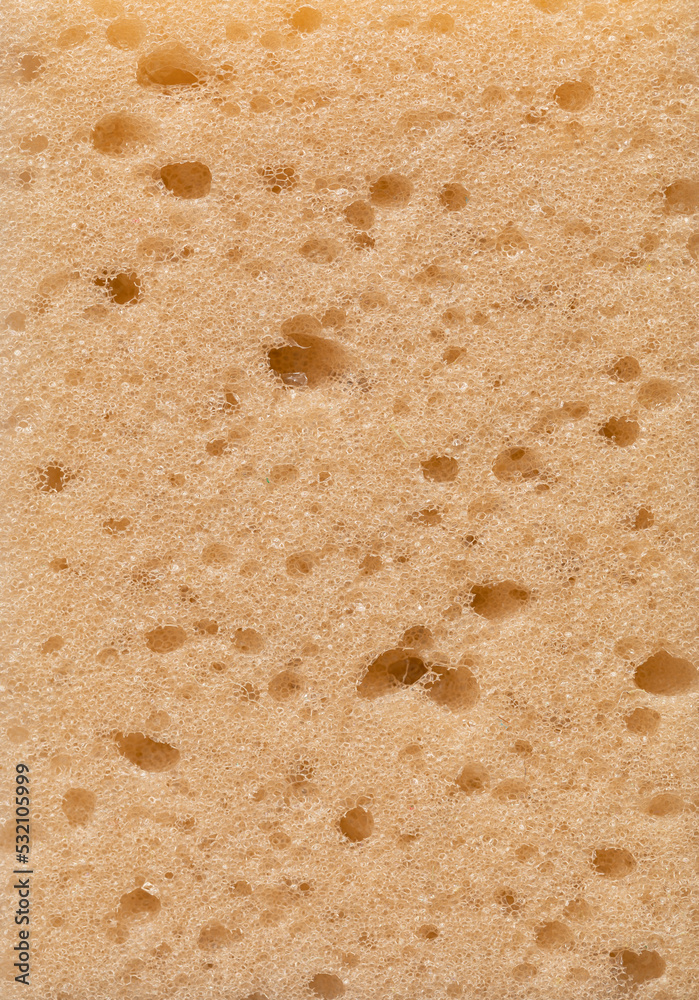 Beige porous sponge. Sponge texture. Soft porous texture. Beige porous sponge. Sponge texture. Soft porous texture.