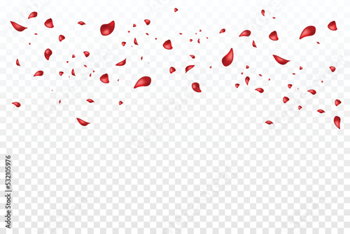 Falling Rose Petals Isolated On Transparent Background. Vector Illustration