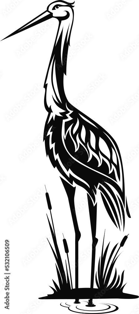 Obraz premium Egret animal bird leg isolated wild heron in reeds