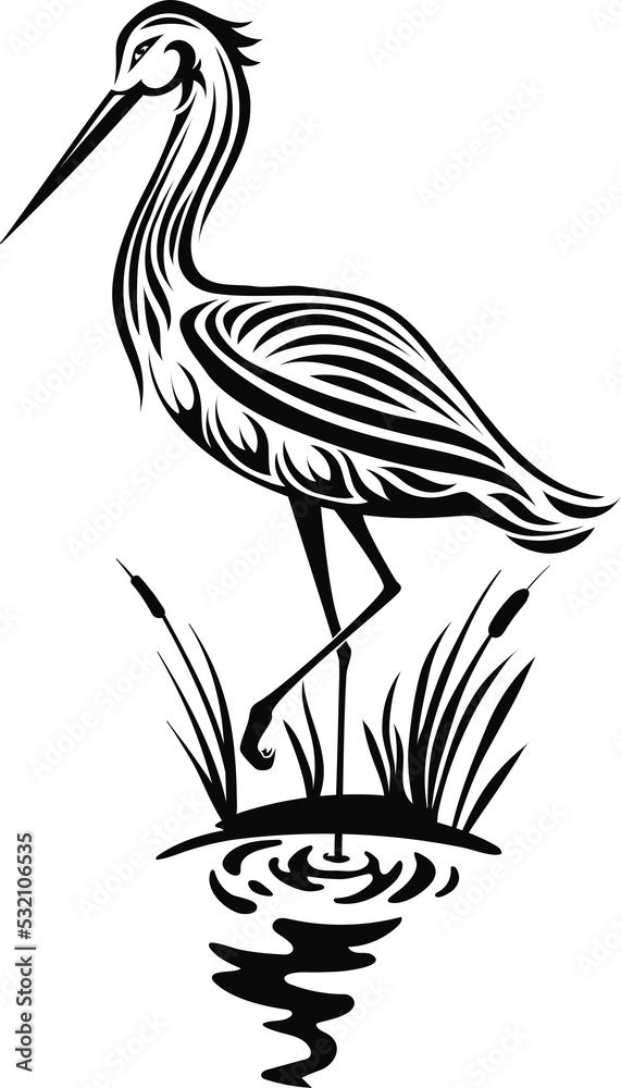 Fototapeta premium Crane or egret bird with bill tall stork long legs
