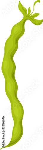 Green pod of kidney bean isolated legume food icon