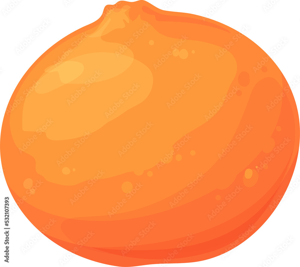 Mandarin citrus fruit isolated cartoon clementine Mandarin citrus fruit isolated cartoon clementine