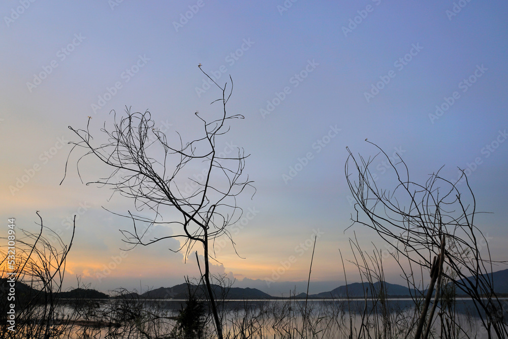 Silhouette of dried tree at lake with twilight sky background Silhouette of dried tree at lake with twilight sky background