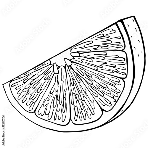 Png illustration. Citrus fruit slice. Hand drawn. 