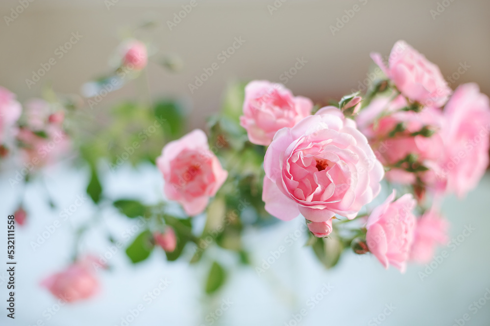 Bouquet of summer roses in glass vase near the window