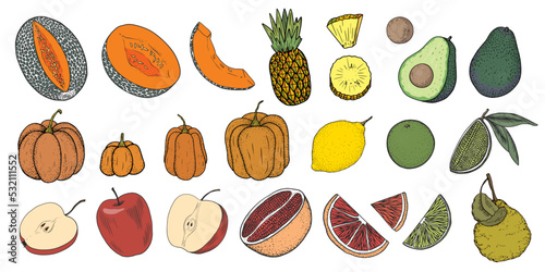 Set of fruits and vegetables isolated on white background. Honeydew melon, avocado, pumpkin, grapefruit, lime, lemon, apple, pineapple, bergamot. Sketches with halves and slices of fruit