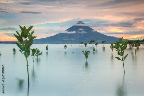 Mayon Volcano with Mangrove sea water in Legazpi Albay Philippines photo
