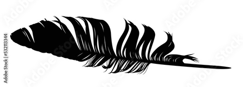 The Feather of bird silhouette.