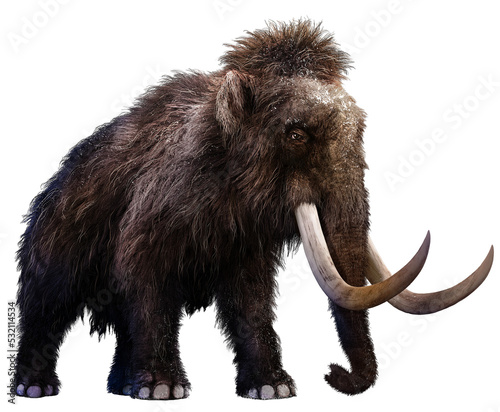 Mammoth with snow on his hair 3D illustration	 photo