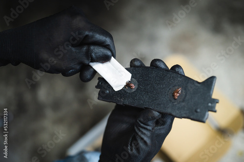 Vászonkép Auto mechanic applying brake grease lube on the back of a brake pads