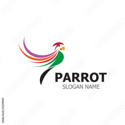 Parrot Logo design  themes animal creative template vector