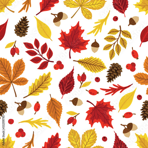 Autumn leaves pattern. Falling leaf seamless background with Oak, maple, chestnut, linden, aspen, walnut and rowan foliage.
