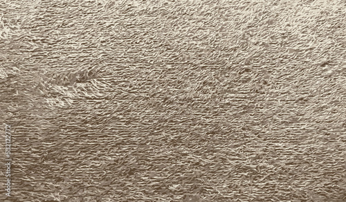 Doormat texture pattern brown vector background
