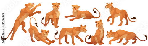 Lioness character in different poses. Vector cartoon set of african feline animal, wild cat sitting, standing and walking. Female lion character isolated on white background