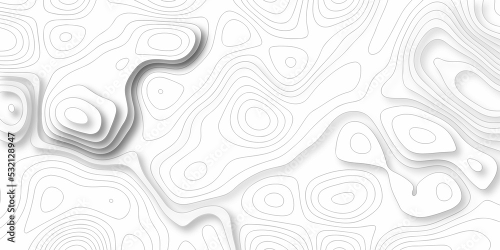 Topographic map background. silver line topography maount map contour background, geographic grid. Abstract vector illustration.