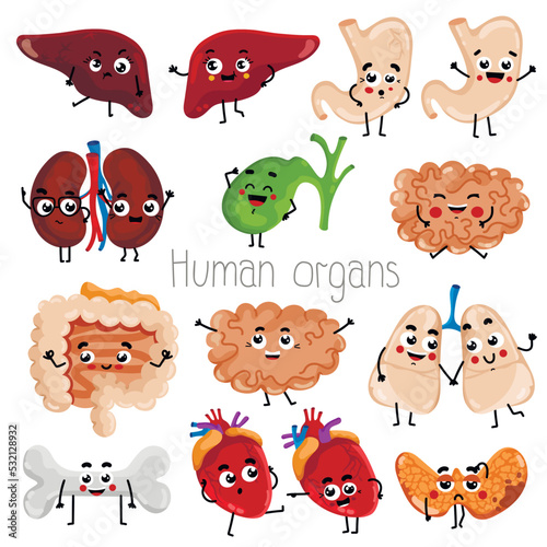Happy and sad organs cartoon characters. Bone, lungs, gallbladder, stomach, liver, thyroid, heart, kidneys, brain, intestine isolated vector illustration. Body anatomy icons, internal organs.