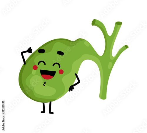 Human gallbladder cute cartoon character. Body anatomy element, health medical sign, internal organ, human body physiology isolated on white background vector illustration.