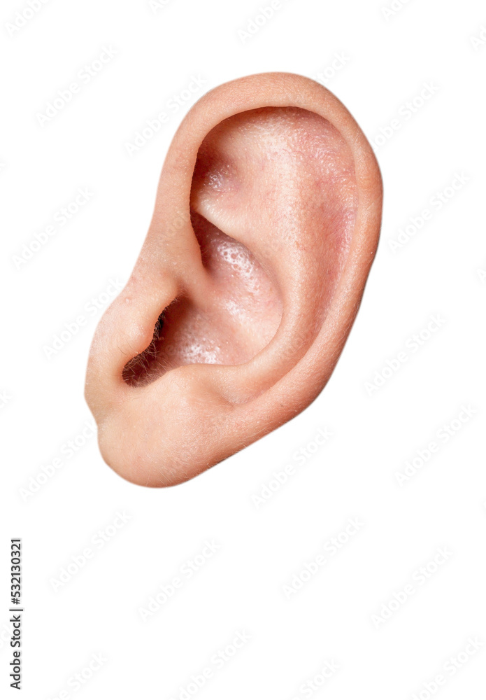 close up of a human  ear - obrazy, fototapety, plakaty 