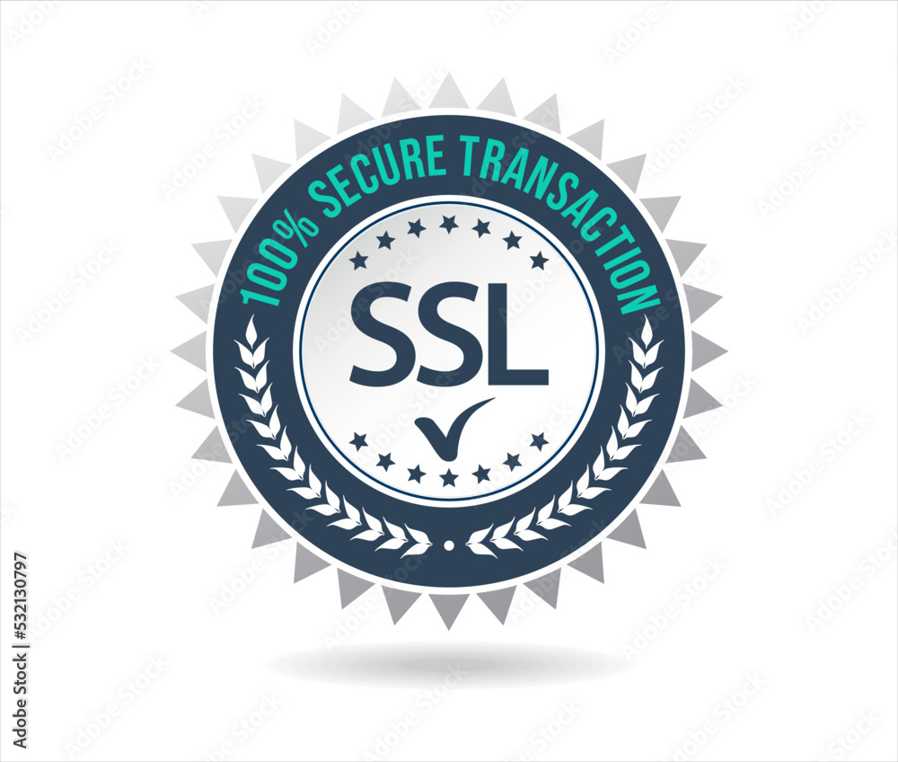 SSL Protection Secure icon vector illustration isolated on white background 
