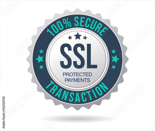 SSL Protection Secure icon vector illustration isolated on white background 