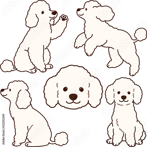 Simple and adorable white colored Poodle dog illustrations