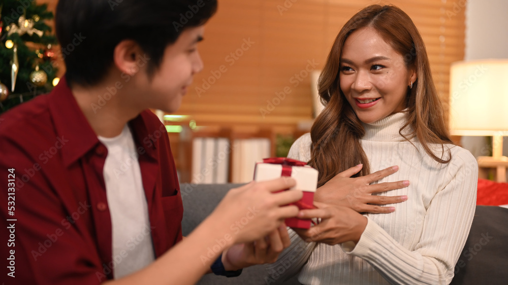 Smiling man giving surprise gift to his girlfriend, celebrating Christmas at home. Family, holidays and people concept Smiling man giving surprise gift to his girlfriend, celebrating Christmas at home. Family, holidays and people concept