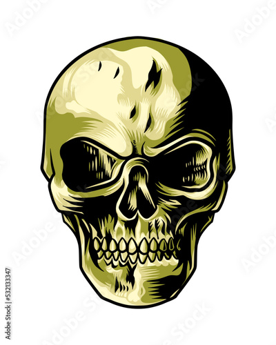human skull