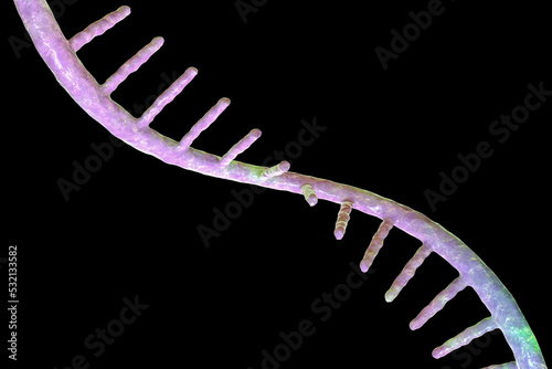 Foto Molecule of mRNA, 3D illustration