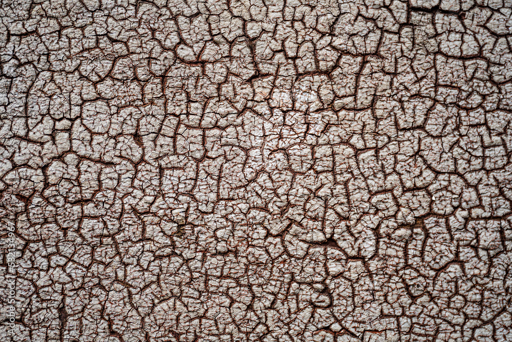 closeup texture cracked wall paint closeup texture cracked wall paint