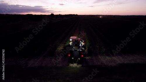 Farmers harvest grapes early in the morning in southern France. photo