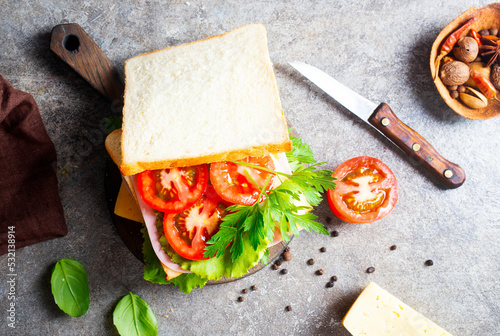 Toast with ham and cheese served on sandwich plate on a stone table