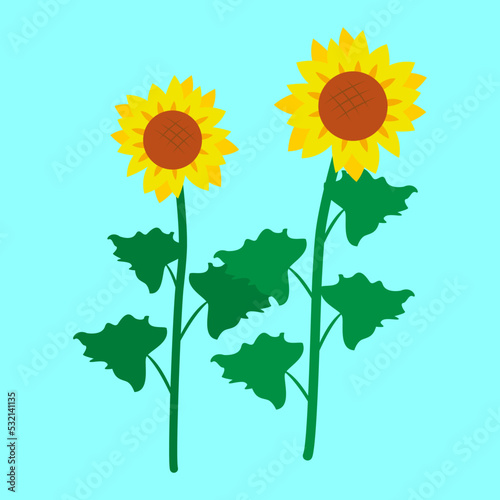 Two sunflowers, illustration, vector, cartoon