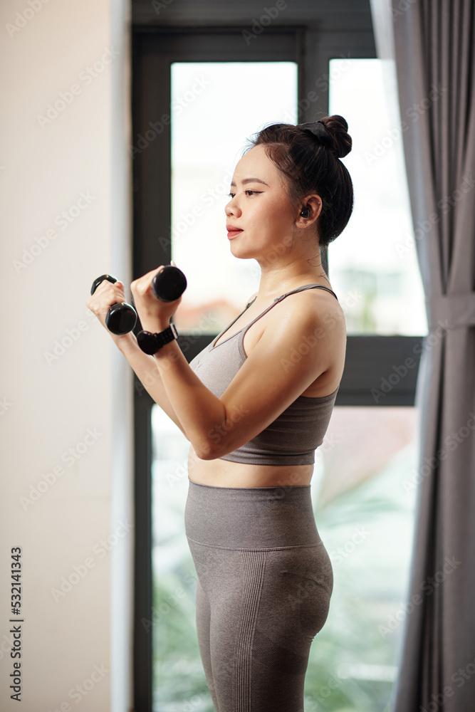 Woman Exercising with Dumbbells Woman Exercising with Dumbbells