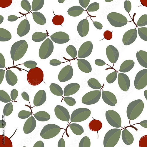 Seamless pattern of leaves and red berries of cotoneaster horizontal on transparent background