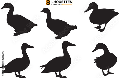
Silhouettes of wild and domestic duck Duck in flight on transparent background

