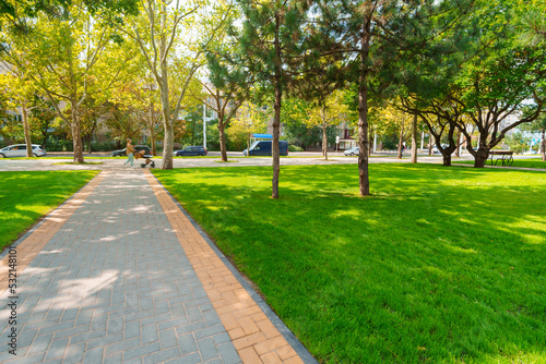 city park in day, beautiful nature, trees and lawns, late summer and early autumn season, the path of paving slabs, urban architecture, street and random people