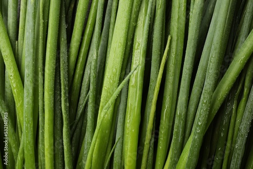 Fresh green spring onions with water drops as background, top view © New Africa