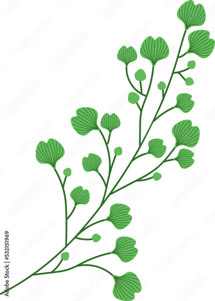 leaf plant illustration leaf plant illustration
