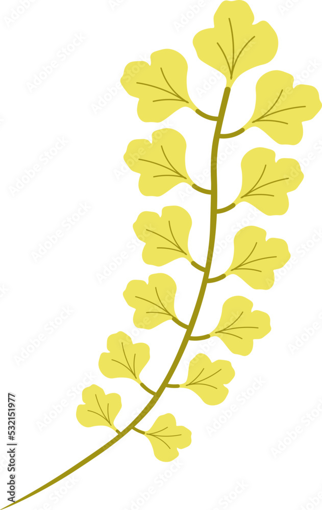 Obraz premium leaf plant illustration